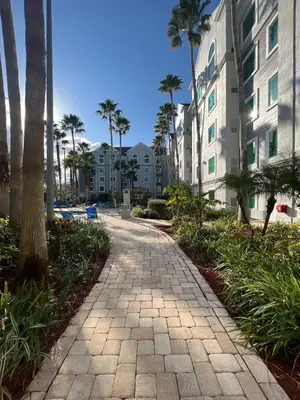 a walkway in front of a building with palm trees at Condo near Disney-free shuttle to all theme parks in Orlando