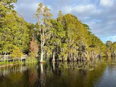 a river with trees on the side of it at Stunning waterfront Views 1 mile to Disney 2 bath in Orlando
