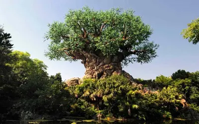a tree on top of a hill with trees at Castle Keys Salt Water Pool Home 10 mins to Disney in Kissimmee