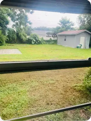 a view of a yard from a window of a house at Entire 5 Bedroom Home in Winter Park FL in Orlando