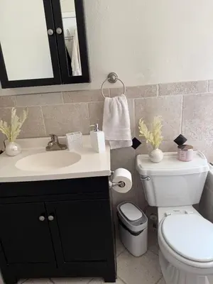 a bathroom with a sink and a toilet and a mirror at 3 bedroom home with private pool in Orlando