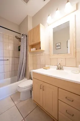 a bathroom with a sink and a toilet and a mirror at Serenity in the sun in Kissimmee