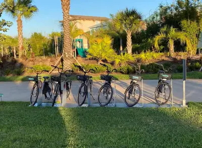 a group of bikes parked next to a palm tree at Savannah Daydreamin - For 6 in Orlando