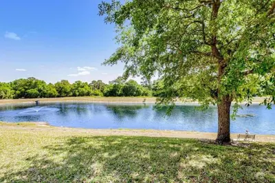 a tree and a bench next to a lake at OAKWATER KISSIMMEE 3 BEDS in Orlando