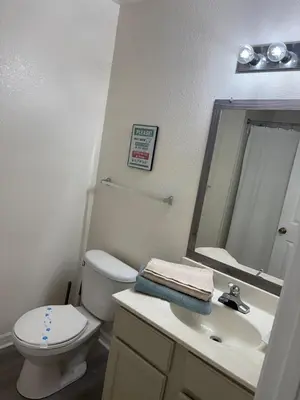a bathroom with a toilet and a sink and a mirror at Modern 3BR Retreat with Comfort & Style Near Disney in Kissimmee