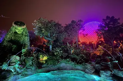 a night view of a garden at night at 3027 Encantada in Kissimmee