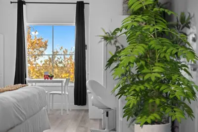 a living room with a table and a plant at 2 Bedroom Deluxe - Theme Park in Orlando