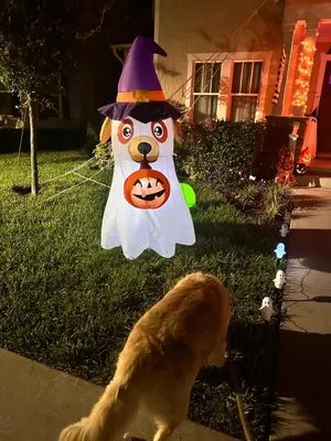 a large balloon of a cat in a witch costume and a dog at Wharfside Waterfront in Kissimmee