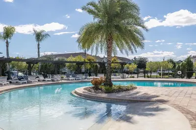 a palm tree sitting next to a swimming pool at Comfy and Spacious House in Kissimmee