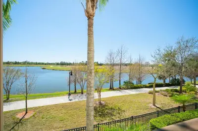 a palm tree in a park next to a body of water at Direct Lake Front View Luxury in Orlando