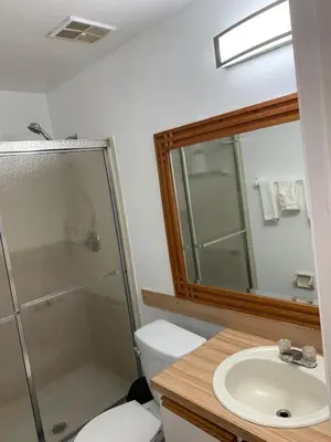 a bathroom with a shower and a toilet and a sink at Ortona's Best Kept Secret Three-Two Spacious Home in Orlando