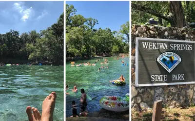 three pictures of people swimming in the water at the water park at Modern 2 Bedrm Apartment with fast Wi-fi - Apartment in Orlando