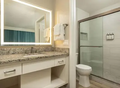 a bathroom with a toilet and a sink and a mirror at Weekly rental at Orange Lake Resort for a family of 8 people in Orlando