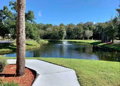a walkway next to a river with a palm tree at Condo Free Parking near Disney Universal in Orlando