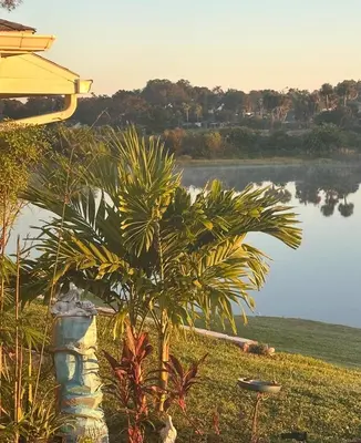 a palm tree in front of a body of water at The little Manatee Apartment in Orlando