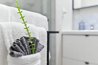 a plant sitting on top of a towel at Pause Discover something that nourishes your soul in Kissimmee