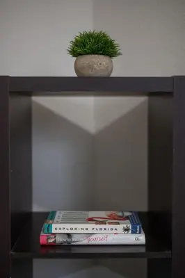 a shelf with books and a potted plant on it at Cozy 2 bedroom home in Orlando in Orlando