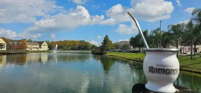 a view of a river with a drink in a cup at True Fantasies 101 in Kissimmee
