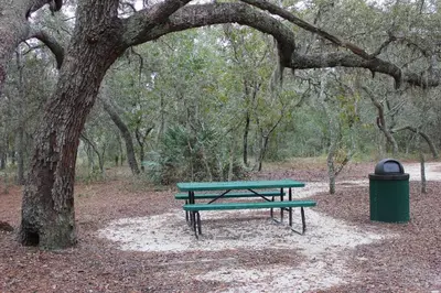 a picnic table next to a tree with a trash can at The Haven in Kissimmee
