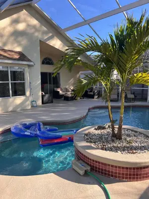 a swimming pool with a palm tree in the middle at Woodland Yard in Kissimmee