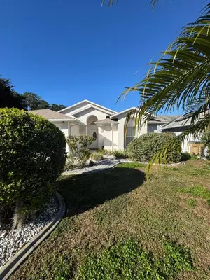 a white house with a palm tree in front of it at 4813 Pliny Court in Kissimmee