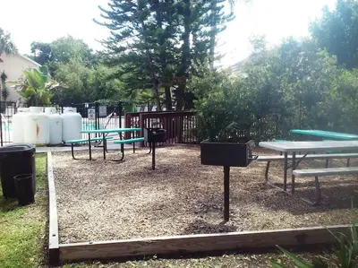 a group of picnic tables in a park at 10 minutes to all Disney park for vacation in Kissimmee