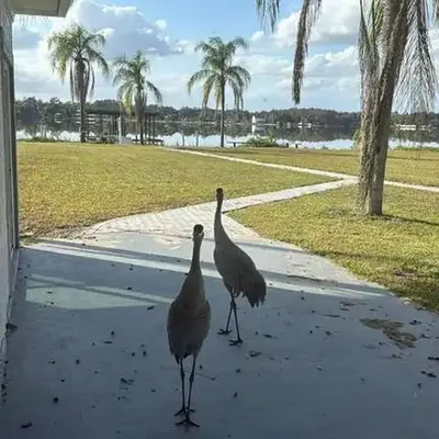 Lakefront Luxury w Private Dock Sunrises