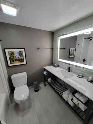 a bathroom with a white toilet and a large mirror at La Quinta Inn by Wyndham Orlando International Drive North in Orlando