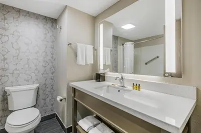 a bathroom with a white sink and a toilet at Best Western Plus Sanford Airport/Lake Mary Hotel in Sanford