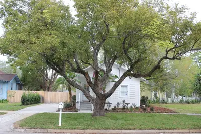 a tree in a yard in front of a house at The Shed in Sanford