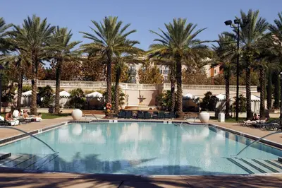 a large swimming pool with palm trees in the background at Universal's Loews Portofino Bay Hotel in Orlando