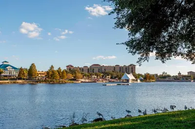 a group of birds standing on the shore of a lake at TownePlace Suites by Marriott Orlando Altamonte Springs/Maitland in Orlando