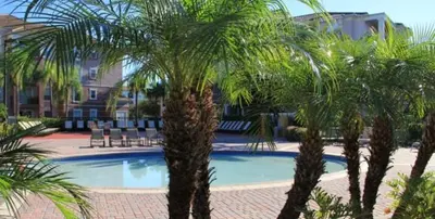 a swimming pool with palm trees in a resort at Cayview Condo #231536 in Orlando