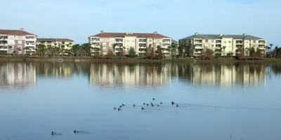 a group of ducks swimming in a lake with buildings at Shoreway Condo #231520 in Orlando