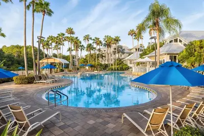 a pool with chairs and umbrellas at a resort at Marriott's Cypress Harbour Villas in Orlando