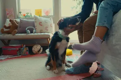 a dog standing next to a person in a living room at Extended Stay America Select Suites - Orlando - South in Orlando