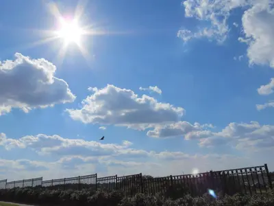 a bird flying in the sky over a fence at Formosa Garden Pool Home in Kissimmee