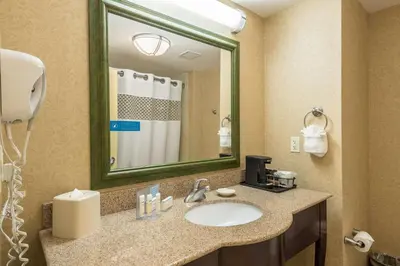 a bathroom with a sink and a mirror at Hampton Inn & Suites Orlando-South Lake Buena Vista in Kissimmee