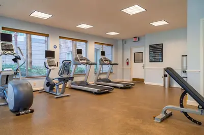 a gym with treadmills and ellipticals in a room at Hilton Garden Inn Orlando East - UCF Area in Orlando