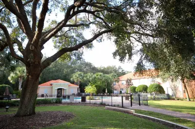 a tree in a park with a fence and a house at Four Bedroom w/ GameRoom 5152A in Kissimmee