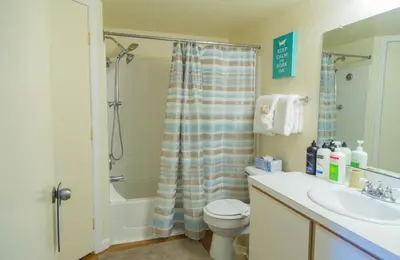 a bathroom with a shower curtain and a toilet and a sink at Disney Adjacent in Kissimmee