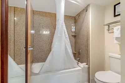 a bathroom with a shower with a shower curtain at Comfort Inn Kissimmee-Lake Buena Vista South in Kissimmee