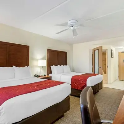 Comfort Inn Kissimmee-Lake Buena Vista South