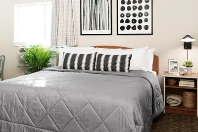 a bedroom with a bed with a gray comforter at InTown Suites Extended Stay Select Orlando FL - Lee Rd in Orlando