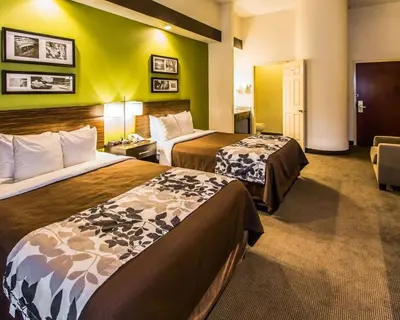 a hotel room with two beds and a chair at Sleep Inn & Suites Orlando International Airport in Orlando