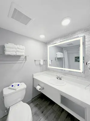 a bathroom with a toilet and a sink and a mirror at Celebration Suites in Orlando
