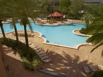 an overhead view of a swimming pool with chairs and palm trees at Rosen Centre Hotel Orlando Convention Center in Orlando