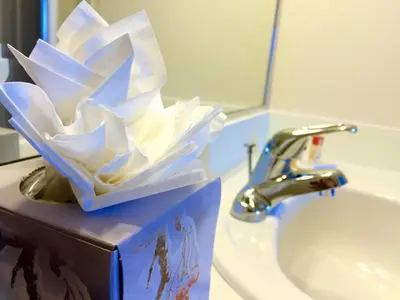 a box of tissues sitting on top of a bathroom sink at Seasons Florida Resort in Kissimmee
