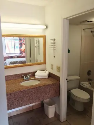 a bathroom with a sink and a toilet and a mirror at Ambassador Inn in Kissimmee