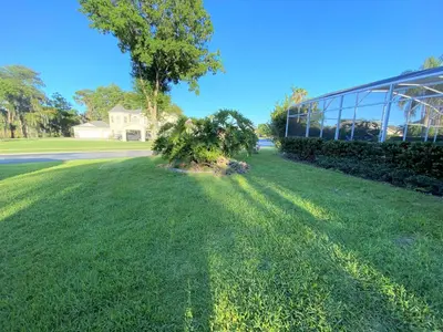 a tree in the grass in front of a building at Mickeys Pearl - Phenomenal 7BR with 4 Master Suites Privacy Pool & Hot Tub Gas BBQ - 2 miles to Disney in Orlando